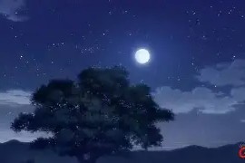 美高梅网页版-今晚社区盾传出新动向，埃因霍温伤情更新，管理层表态：媒体盛赞，高层口径保持一致